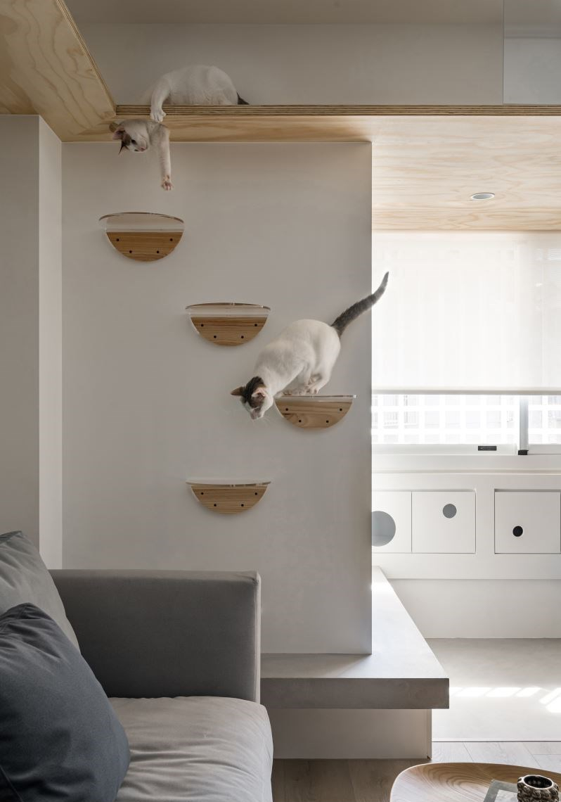 北欧风公寓案例丨开放式的活动空间，清新爽朗的宠物世界